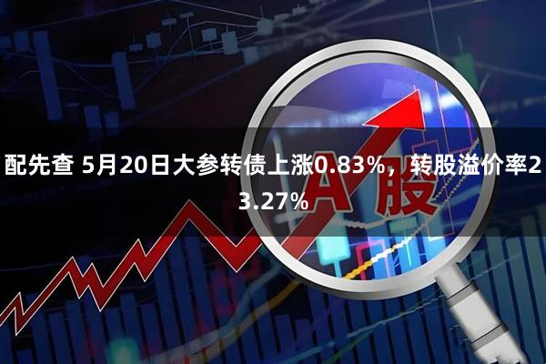 配先查 5月20日大参转债上涨0.83%，转股溢价率23.27%