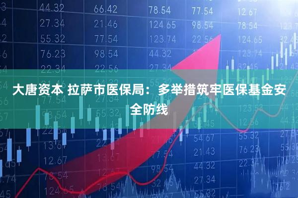 大唐资本 拉萨市医保局：多举措筑牢医保基金安全防线