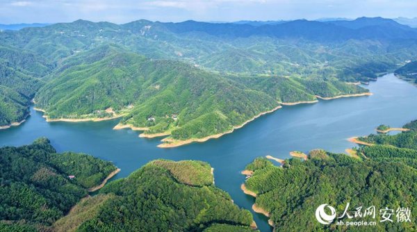 股牛配 从“一杯美酒”到“一片美景”